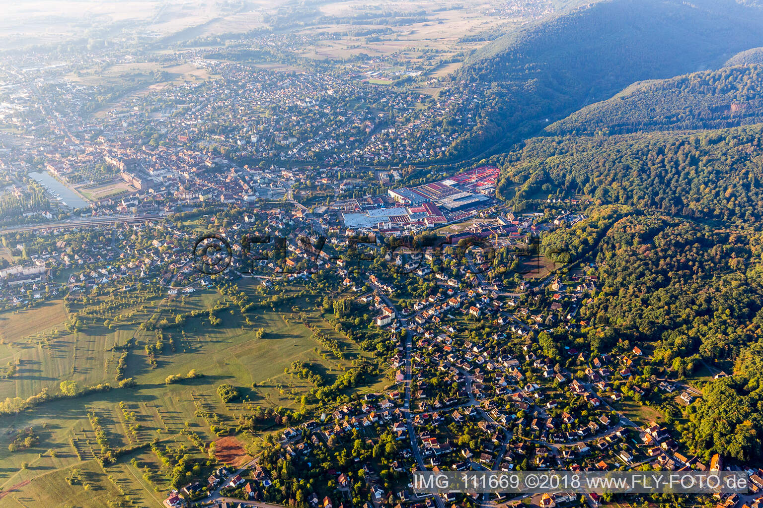 Photographie aérienne de Saverne dans le département Bas Rhin, France