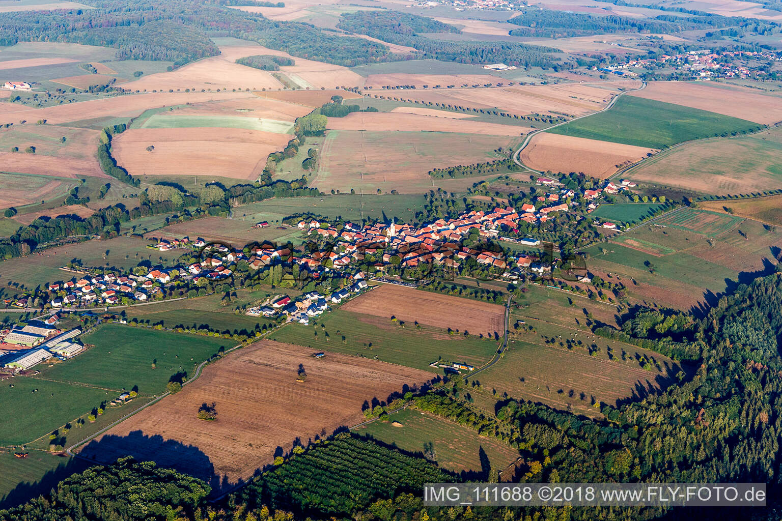 Photographie aérienne de Pfalzweyer dans le département Bas Rhin, France