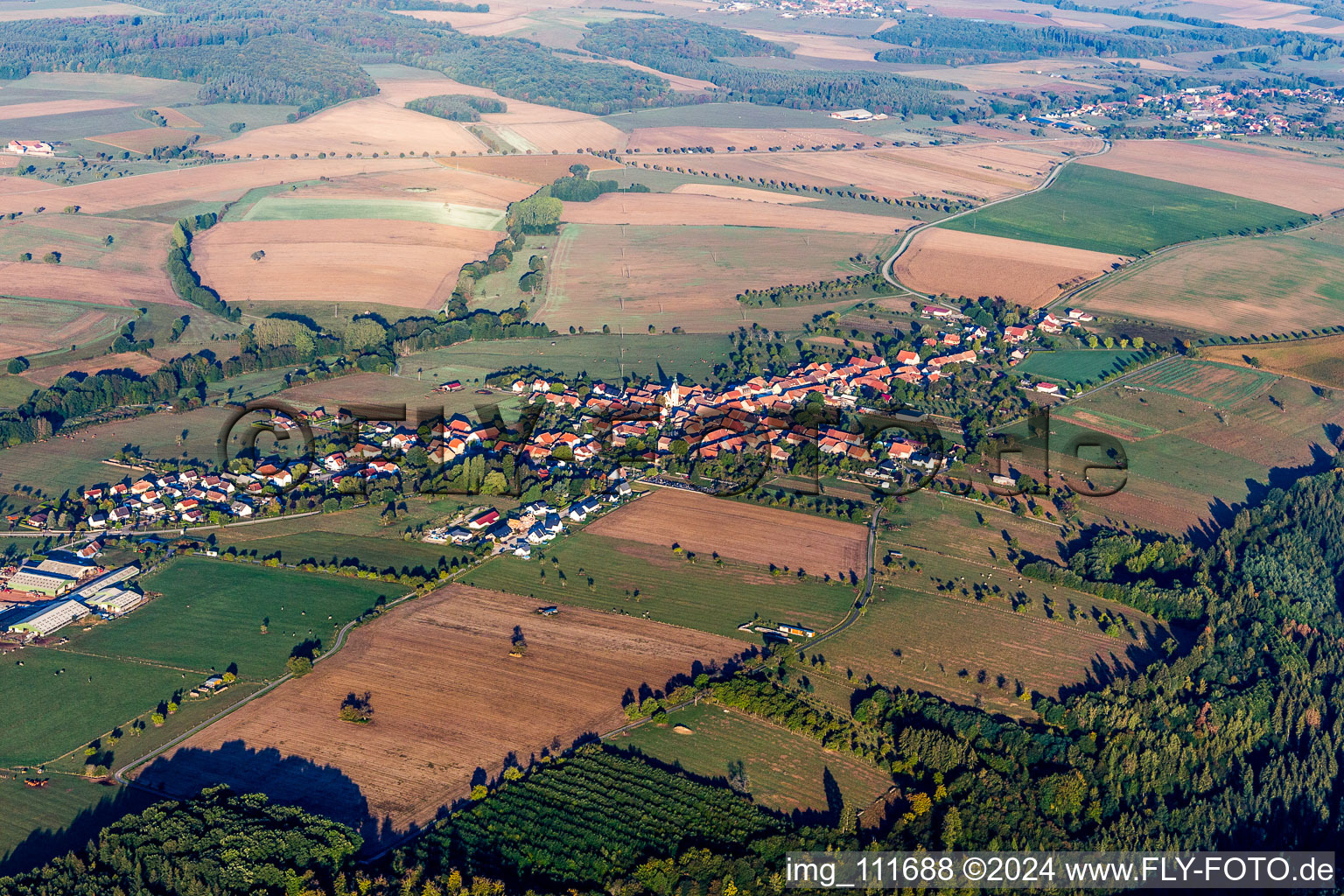 Photographie aérienne de Pfalzweyer dans le département Bas Rhin, France