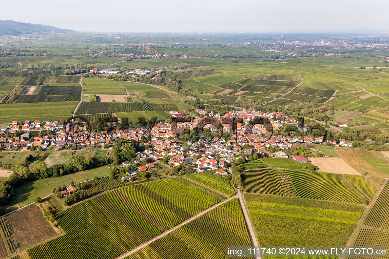 Göcklingen dans le département Rhénanie-Palatinat, Allemagne hors des airs