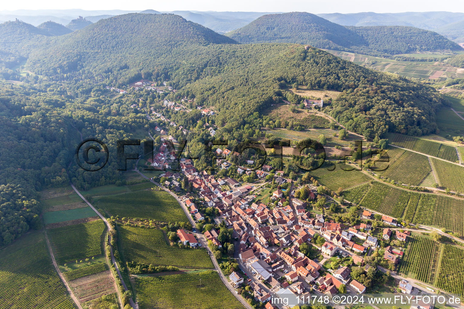 Leinsweiler dans le département Rhénanie-Palatinat, Allemagne vue d'en haut