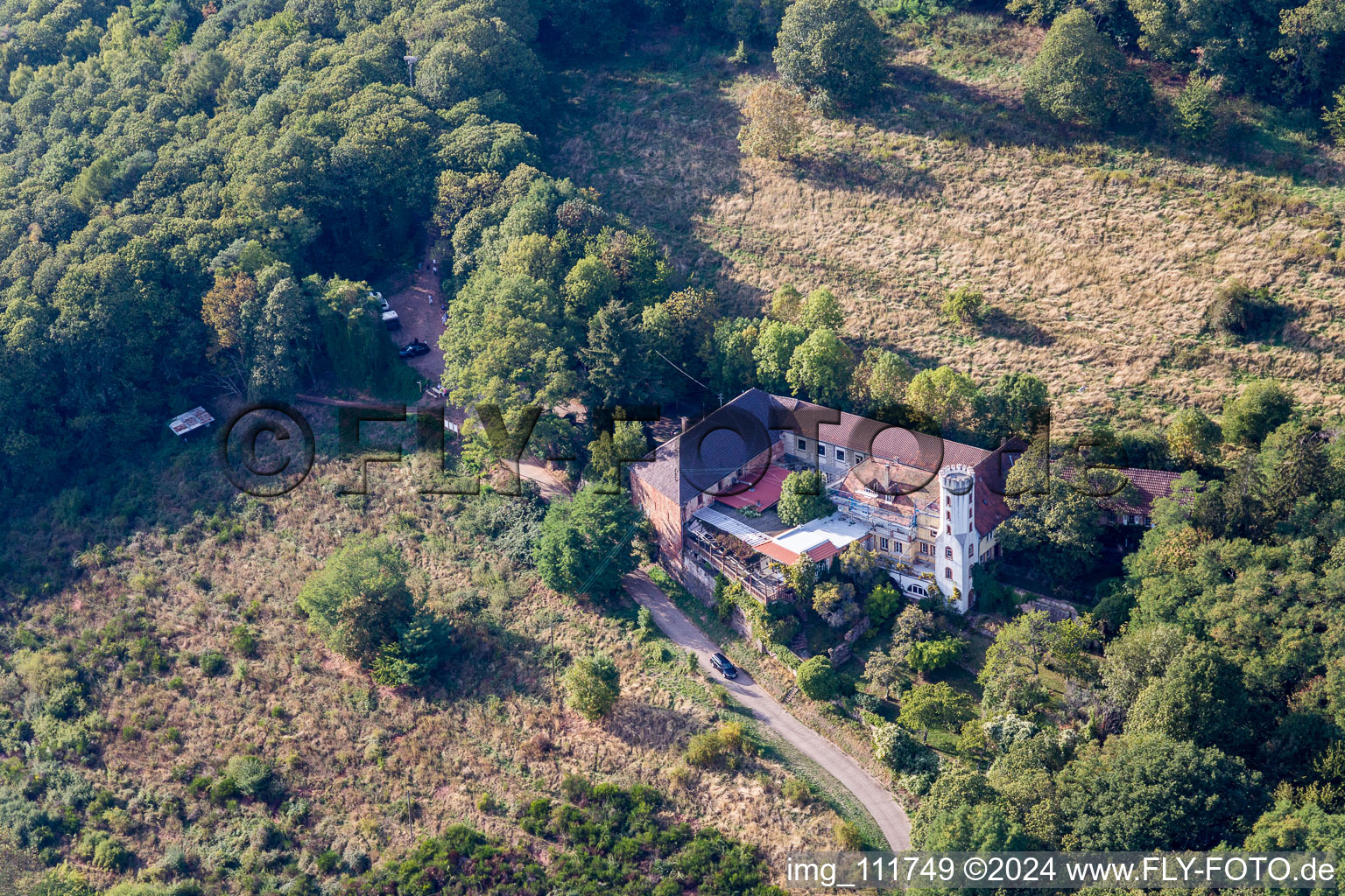 Leinsweiler dans le département Rhénanie-Palatinat, Allemagne depuis l'avion