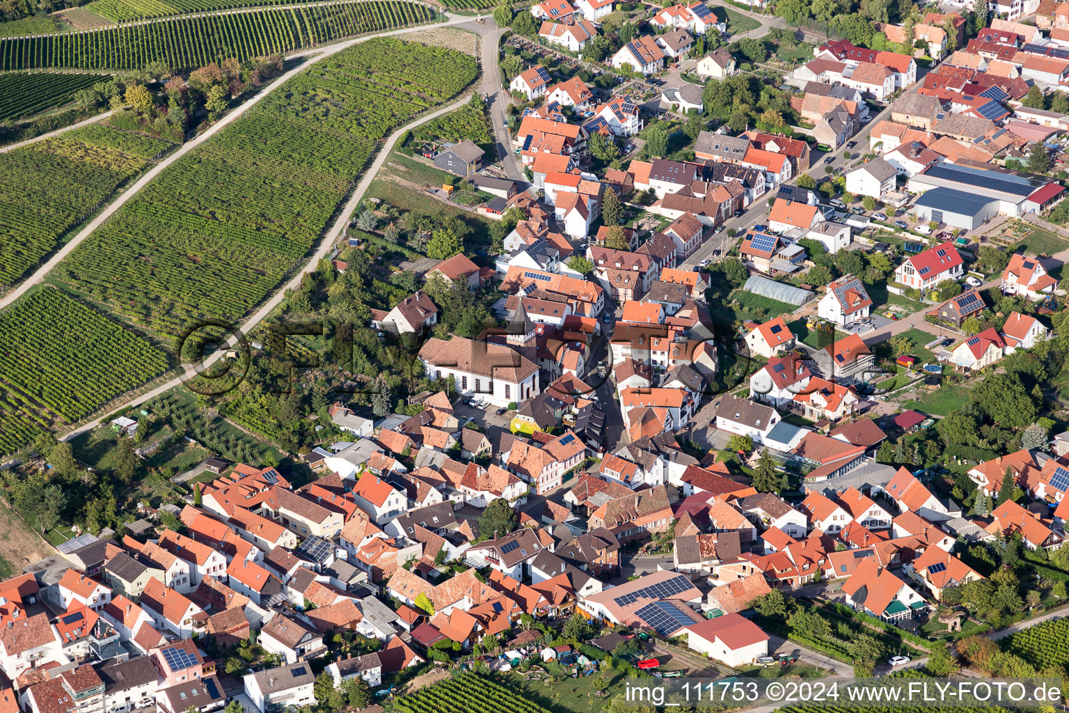 Vue aérienne de Birkweiler à le quartier Ilbesheim in Ilbesheim bei Landau in der Pfalz dans le département Rhénanie-Palatinat, Allemagne