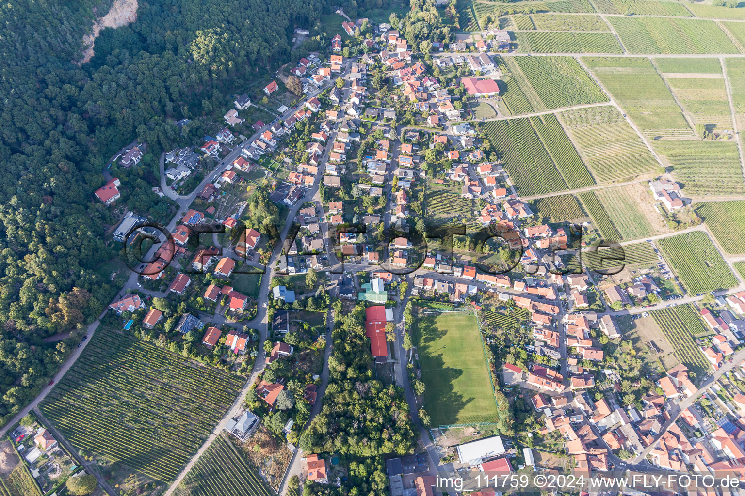 Frankweiler dans le département Rhénanie-Palatinat, Allemagne depuis l'avion