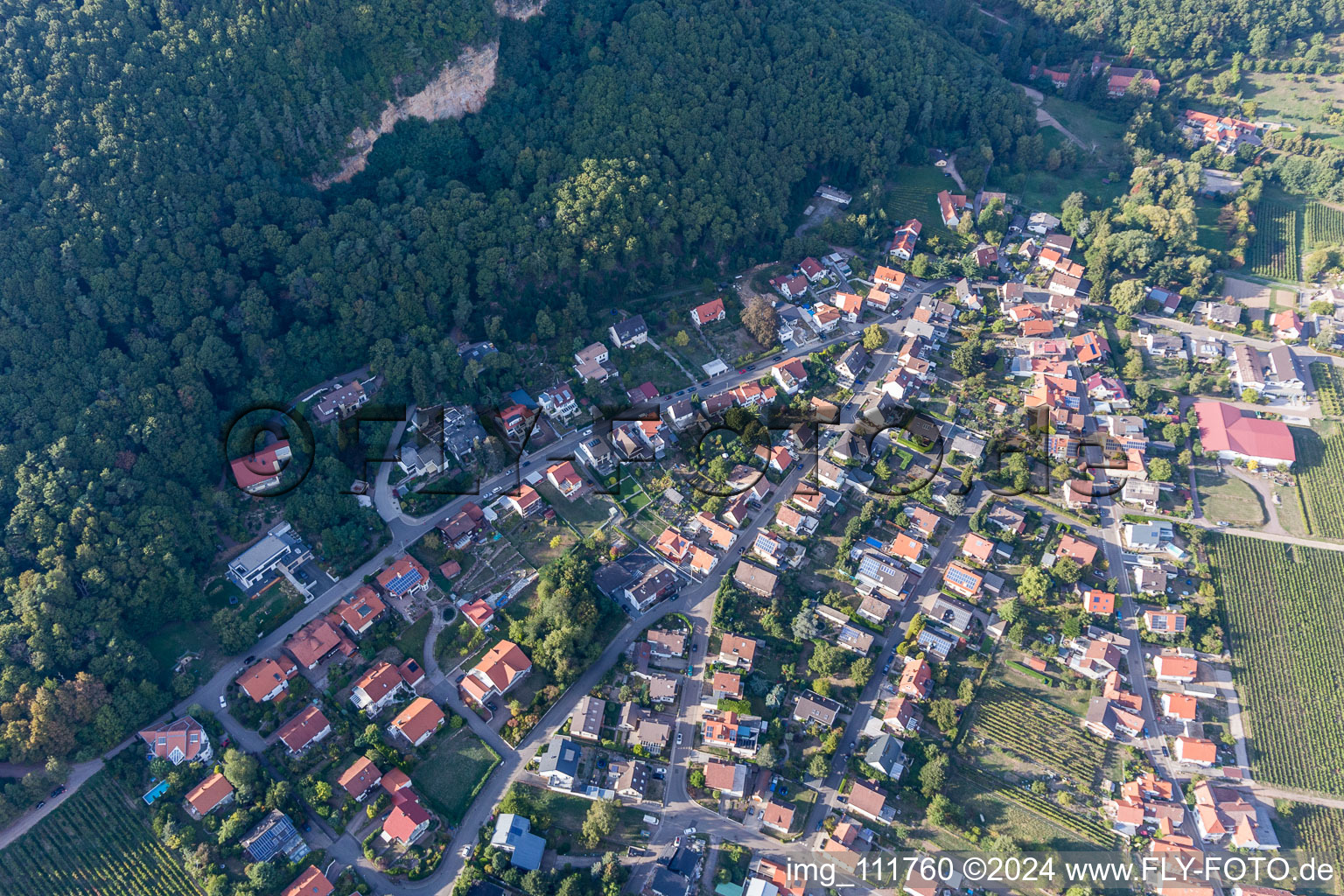 Vue d'oiseau de Frankweiler dans le département Rhénanie-Palatinat, Allemagne