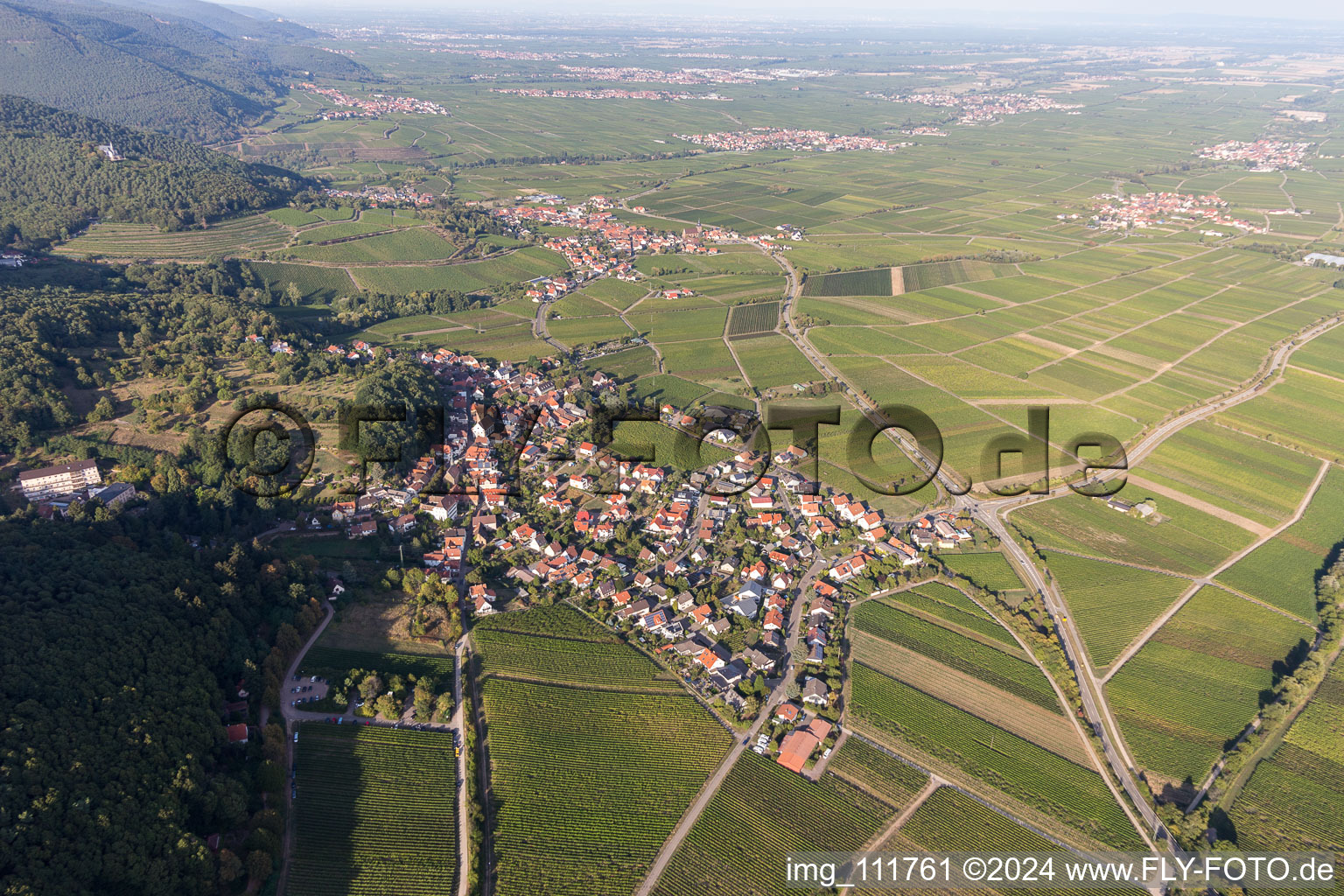 Enregistrement par drone de Gleisweiler dans le département Rhénanie-Palatinat, Allemagne