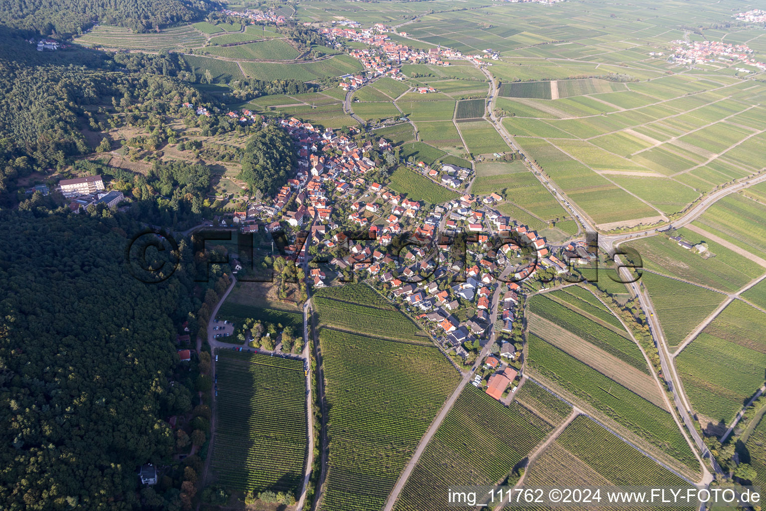 Image drone de Gleisweiler dans le département Rhénanie-Palatinat, Allemagne