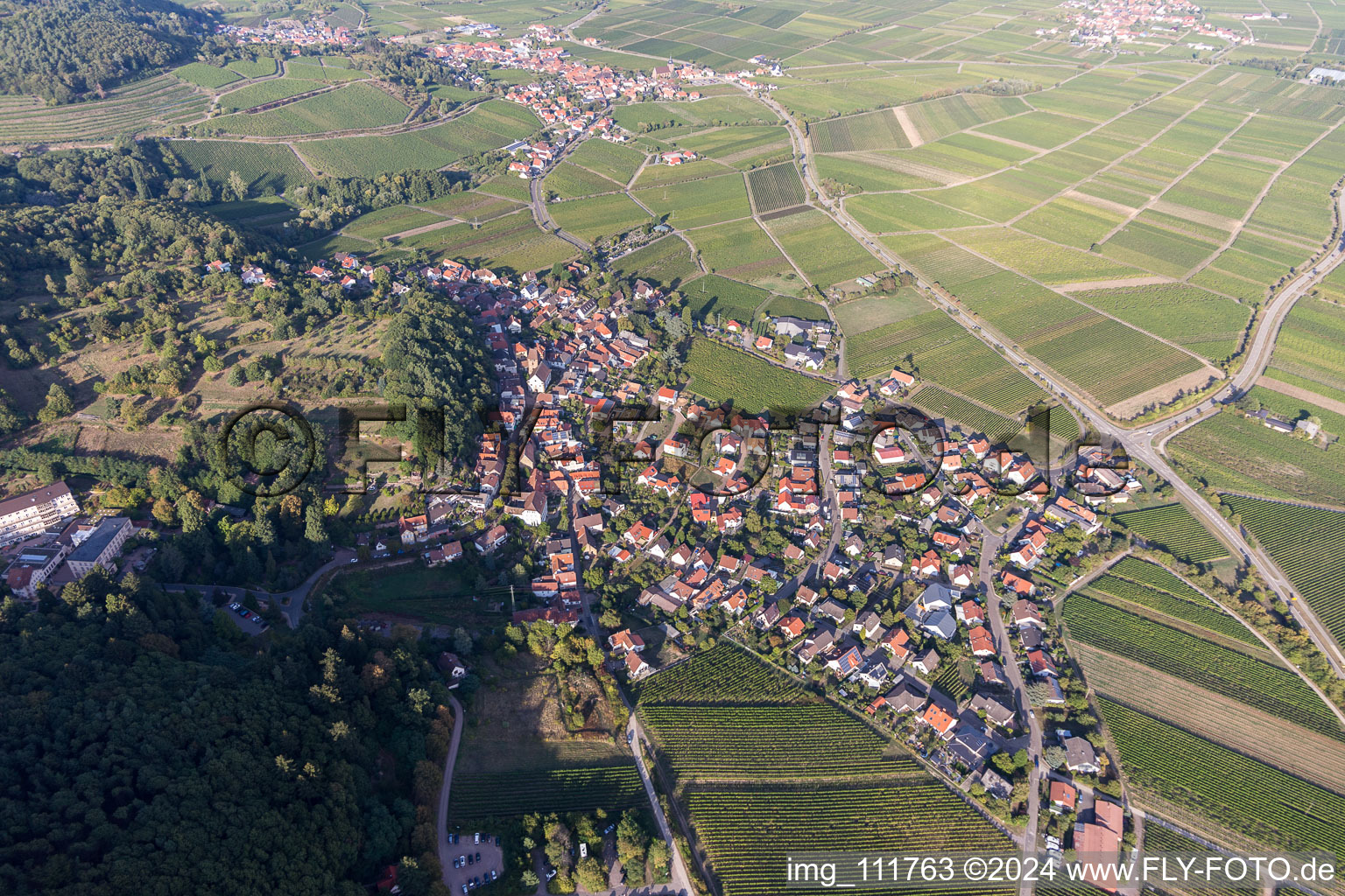 Gleisweiler dans le département Rhénanie-Palatinat, Allemagne du point de vue du drone