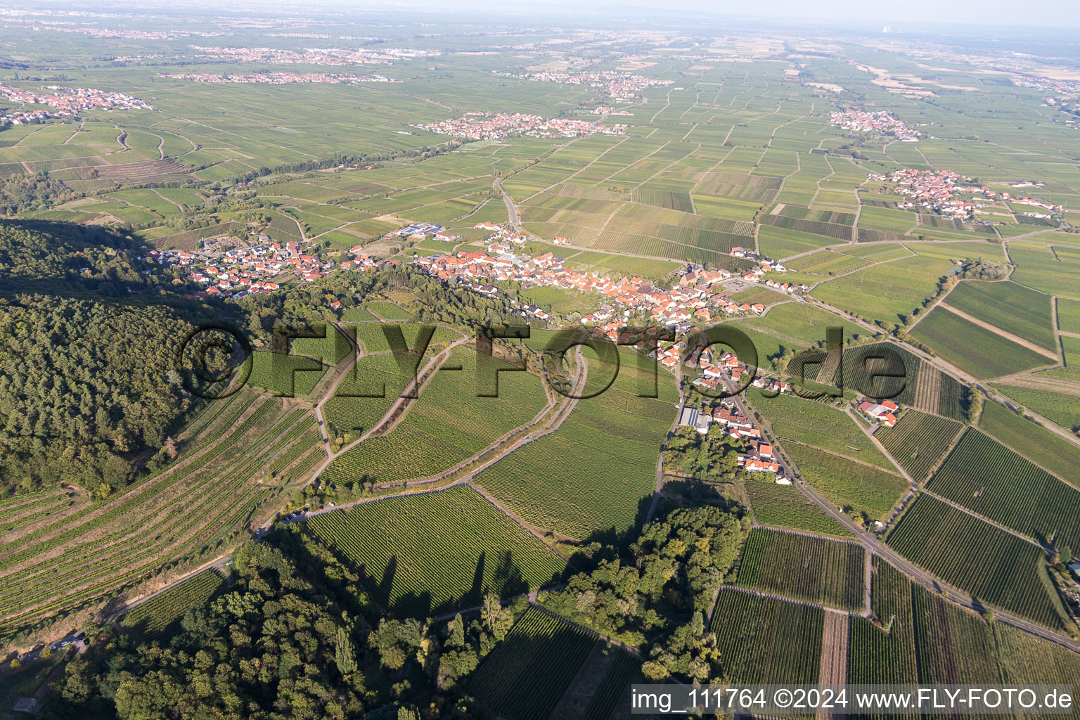 Vue oblique de Burrweiler dans le département Rhénanie-Palatinat, Allemagne