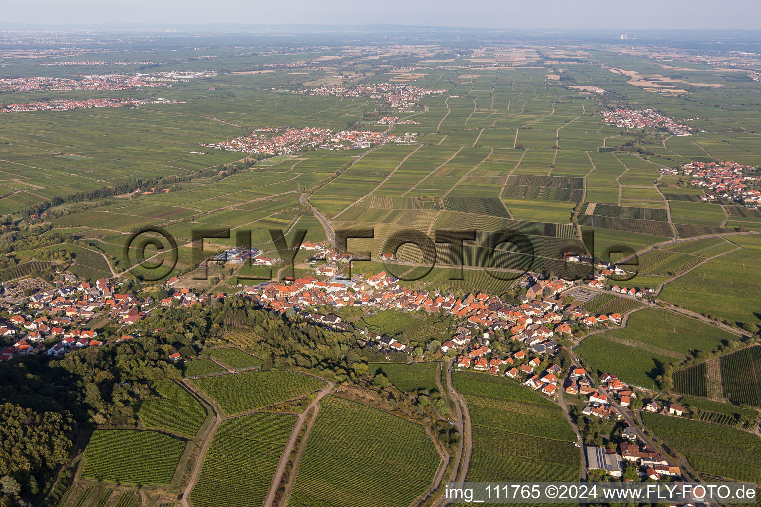 Burrweiler dans le département Rhénanie-Palatinat, Allemagne d'en haut