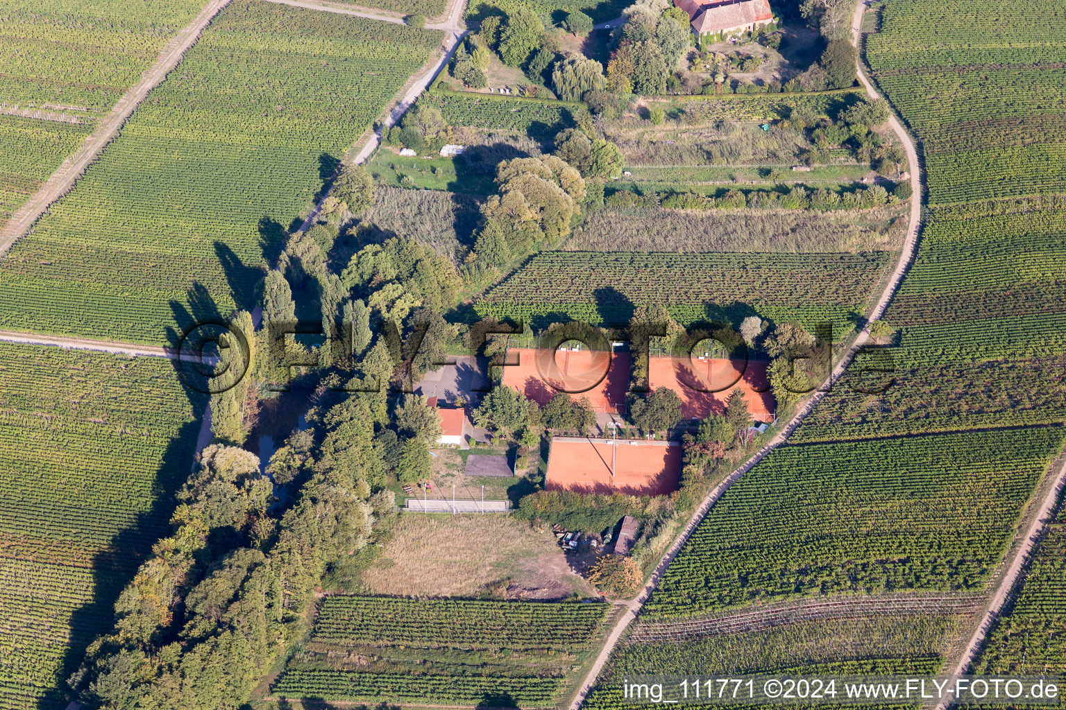 Burrweiler dans le département Rhénanie-Palatinat, Allemagne vue d'en haut