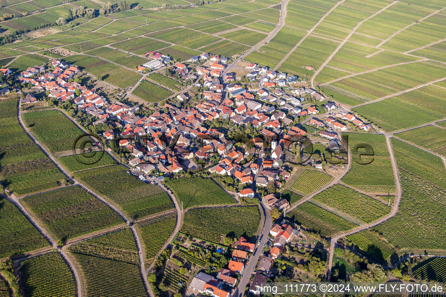 Vue oblique de Weyher in der Pfalz dans le département Rhénanie-Palatinat, Allemagne