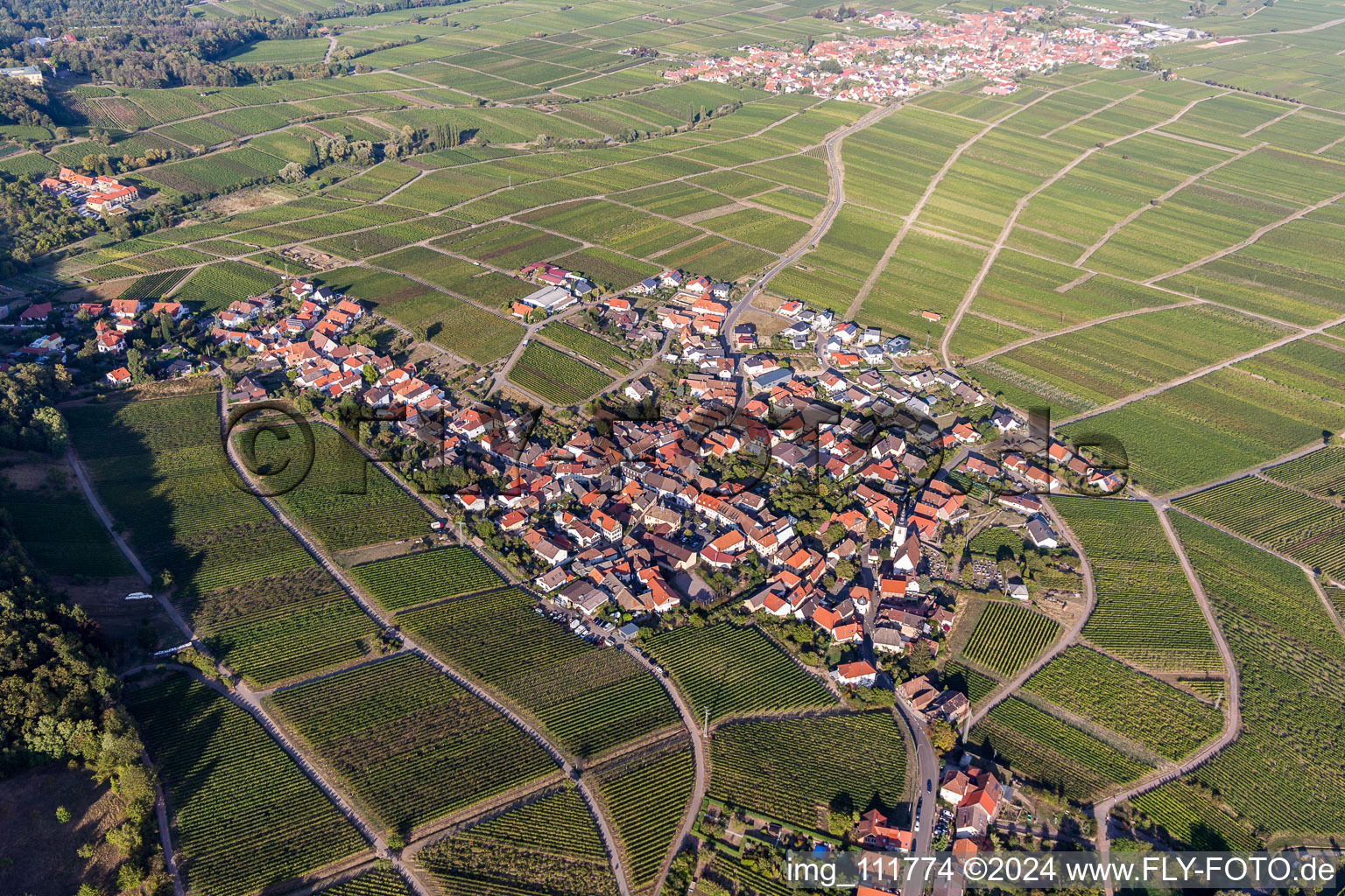 Weyher in der Pfalz dans le département Rhénanie-Palatinat, Allemagne d'en haut