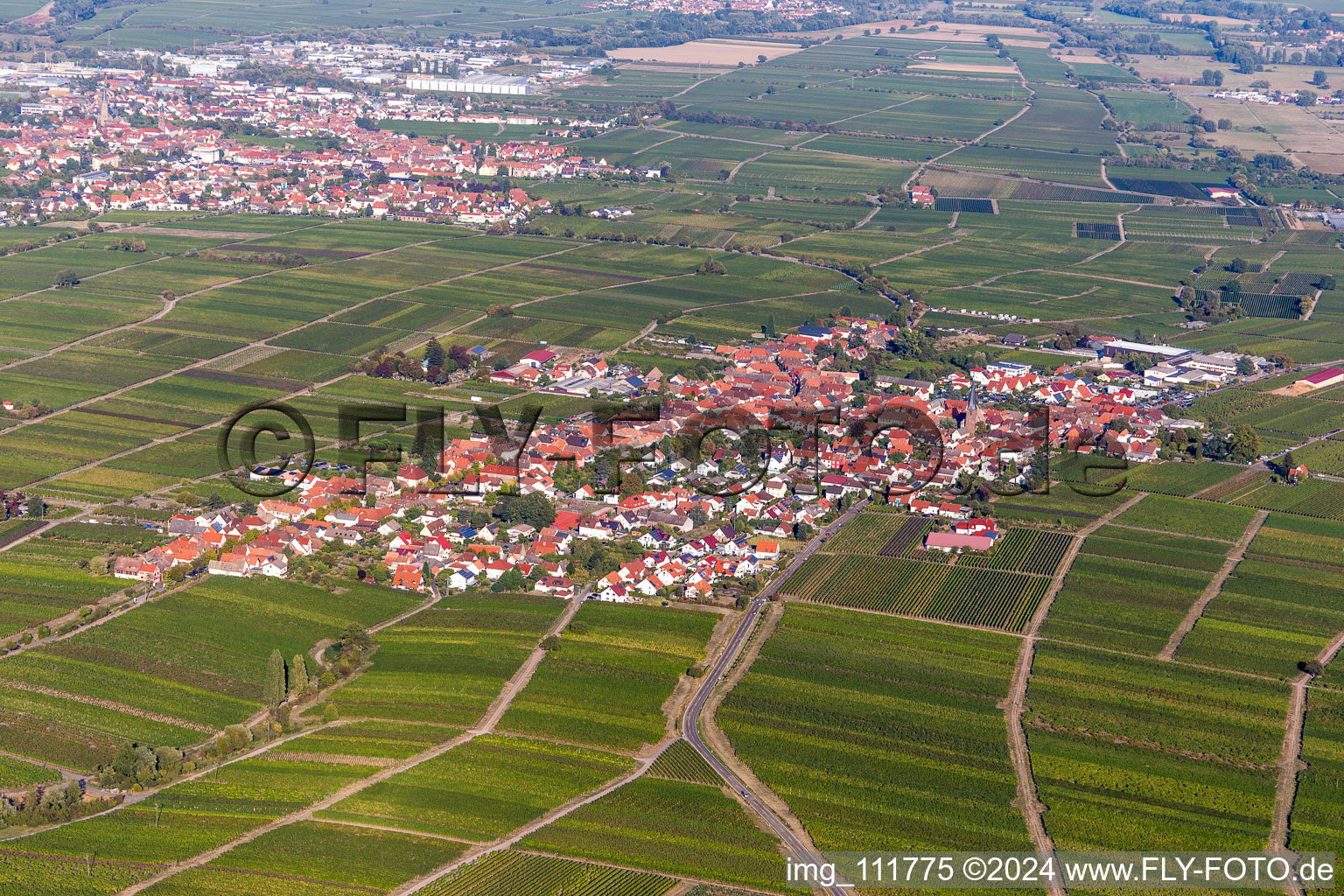 Rhodt unter Rietburg dans le département Rhénanie-Palatinat, Allemagne depuis l'avion