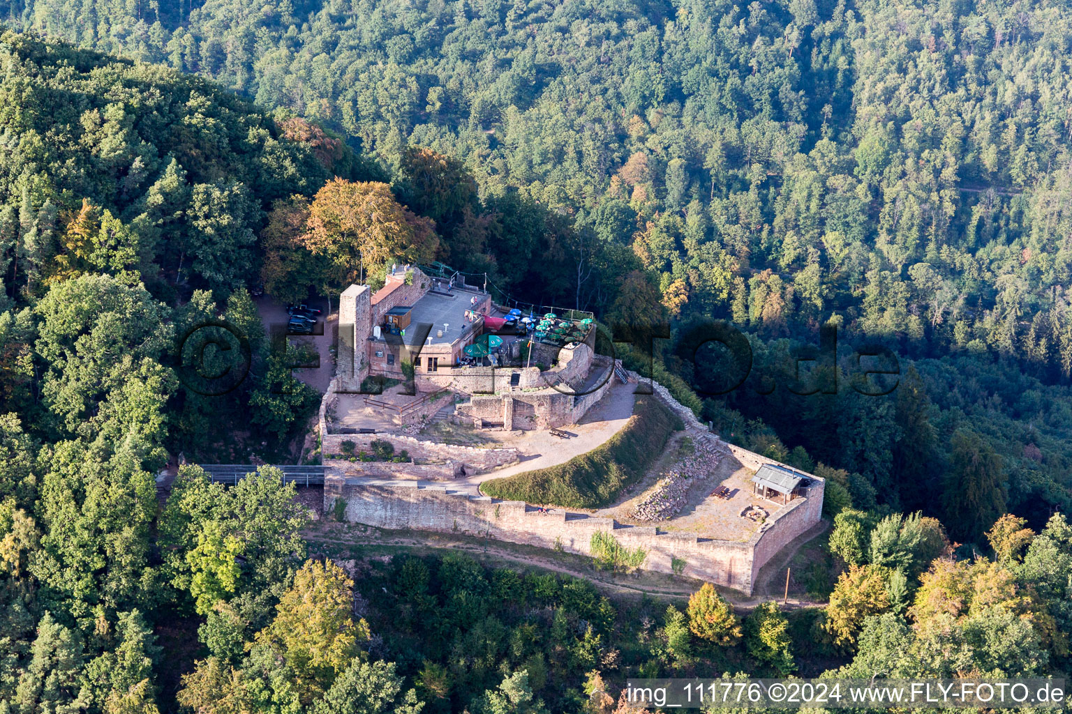 Ruines du château de Rietburg à Rhodt unter Rietburg dans le département Rhénanie-Palatinat, Allemagne d'en haut