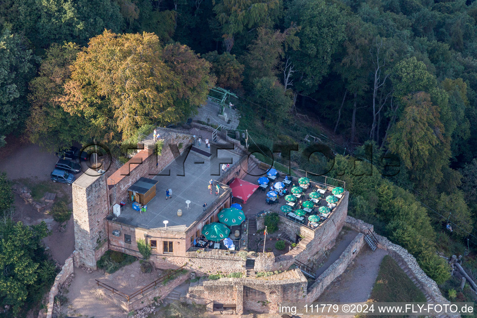 Ruines du château de Rietburg à Rhodt unter Rietburg dans le département Rhénanie-Palatinat, Allemagne hors des airs