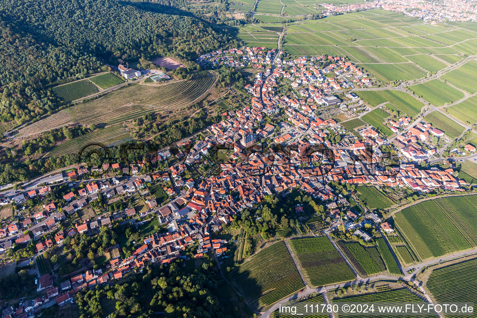 Photographie aérienne de Sankt Martin dans le département Rhénanie-Palatinat, Allemagne