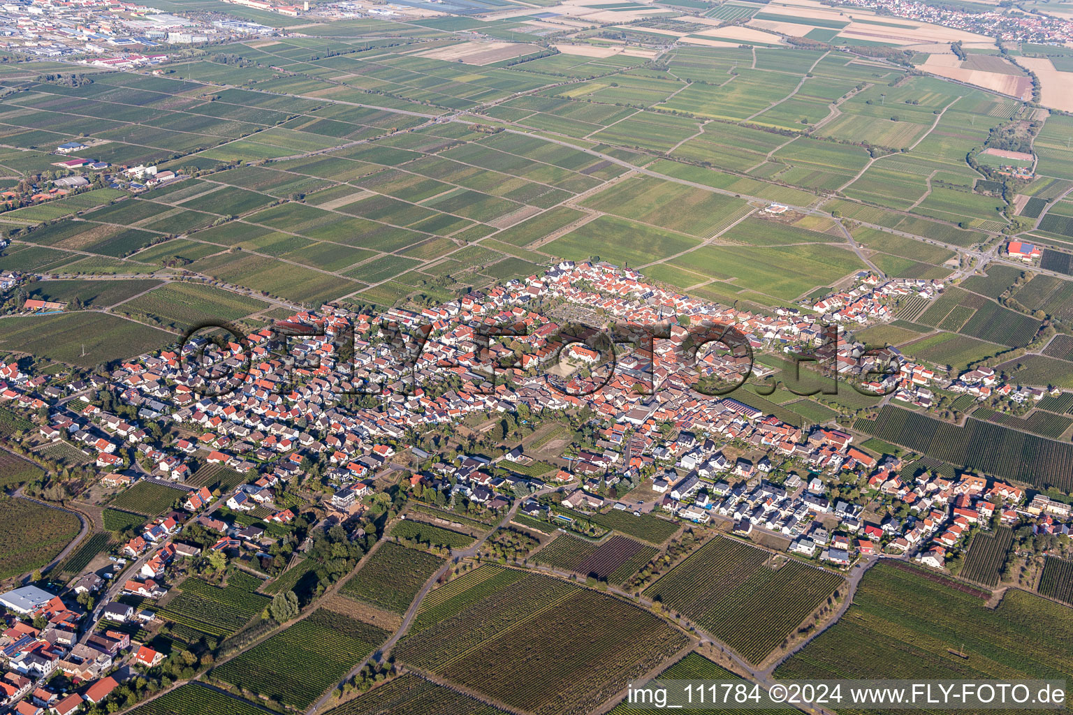 Quartier Diedesfeld in Neustadt an der Weinstraße dans le département Rhénanie-Palatinat, Allemagne vue d'en haut