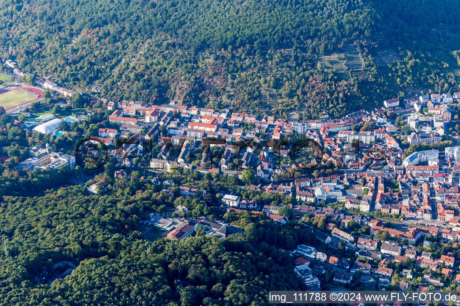 Vue aérienne de Schöntal à Neustadt an der Weinstraße dans le département Rhénanie-Palatinat, Allemagne