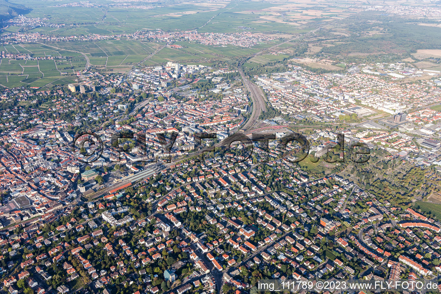 Image drone de Neustadt an der Weinstraße dans le département Rhénanie-Palatinat, Allemagne