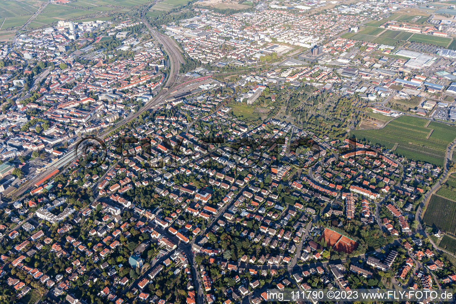 Neustadt an der Weinstraße dans le département Rhénanie-Palatinat, Allemagne du point de vue du drone