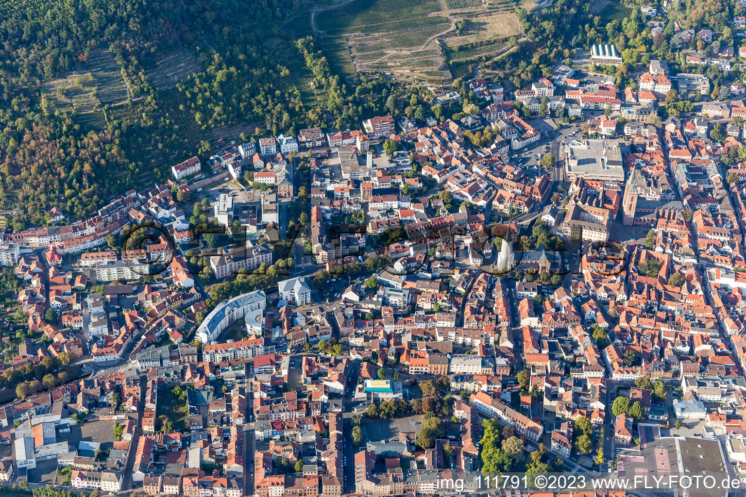 Neustadt an der Weinstraße dans le département Rhénanie-Palatinat, Allemagne d'un drone