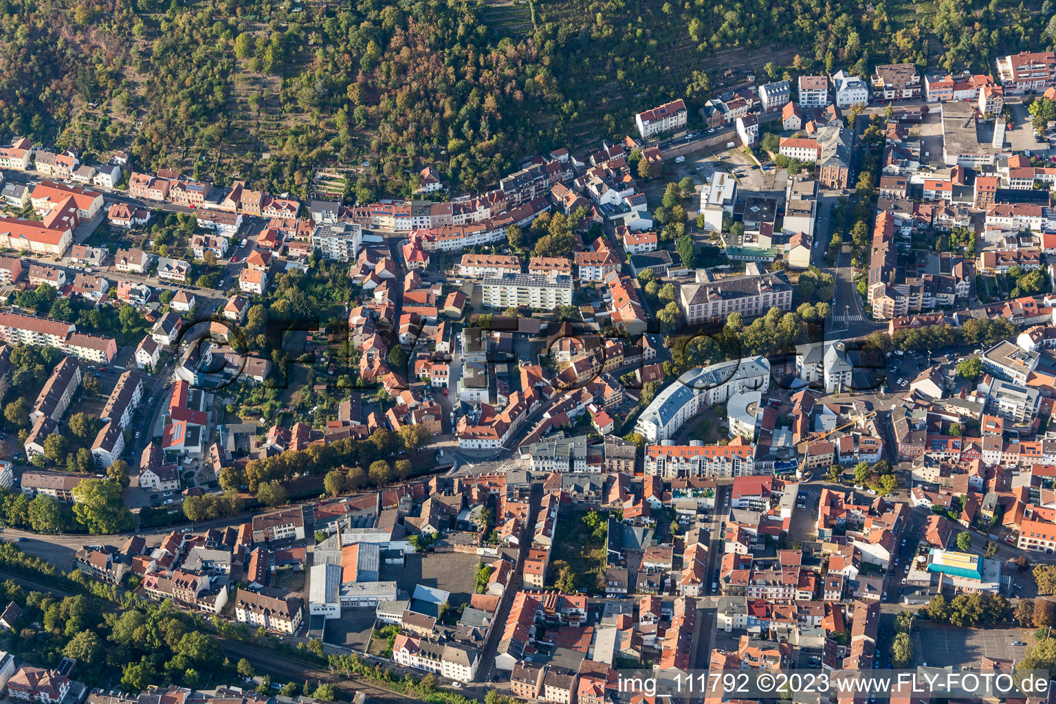 Neustadt an der Weinstraße dans le département Rhénanie-Palatinat, Allemagne vu d'un drone