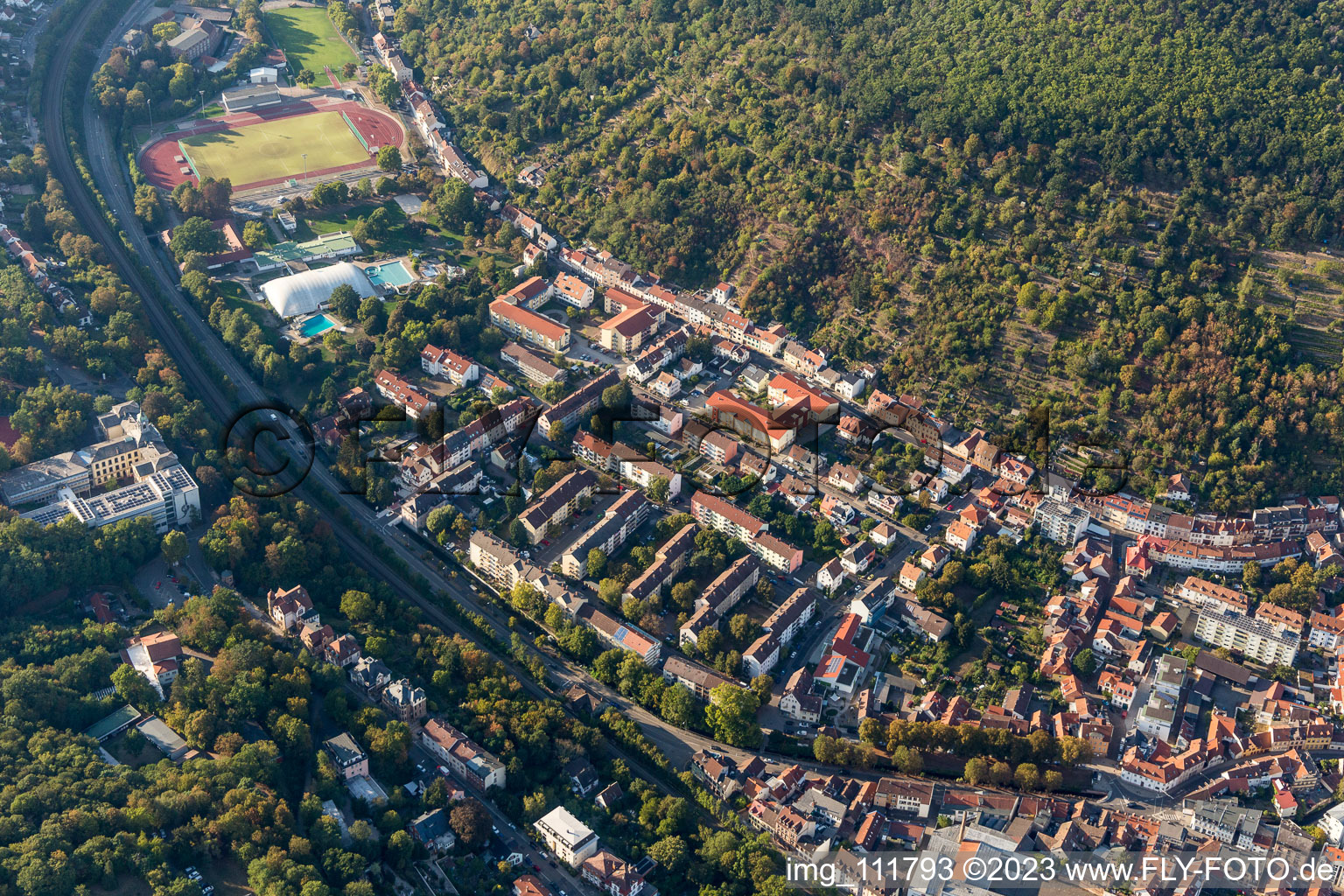 Photographie aérienne de Schöntal à Neustadt an der Weinstraße dans le département Rhénanie-Palatinat, Allemagne