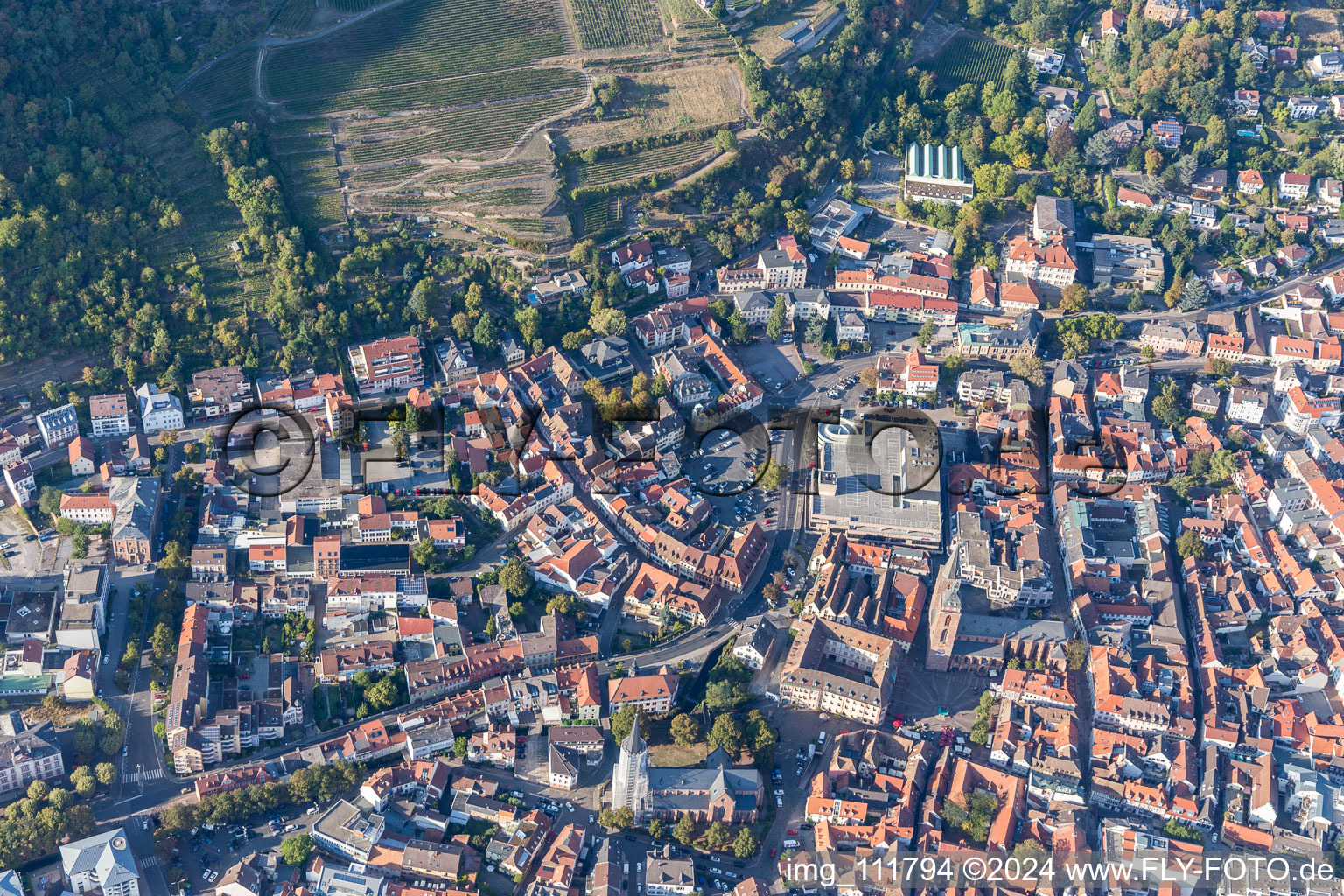 Vue aérienne de Administration municipale à Neustadt an der Weinstraße dans le département Rhénanie-Palatinat, Allemagne