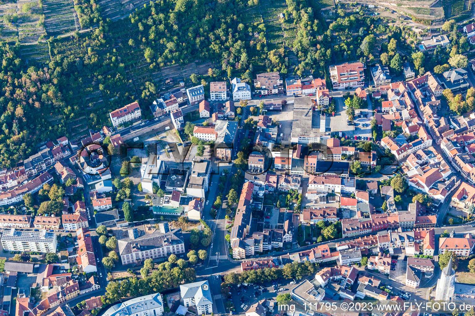 Vue aérienne de Centre de bibliothèque d'État RLP à Neustadt an der Weinstraße dans le département Rhénanie-Palatinat, Allemagne