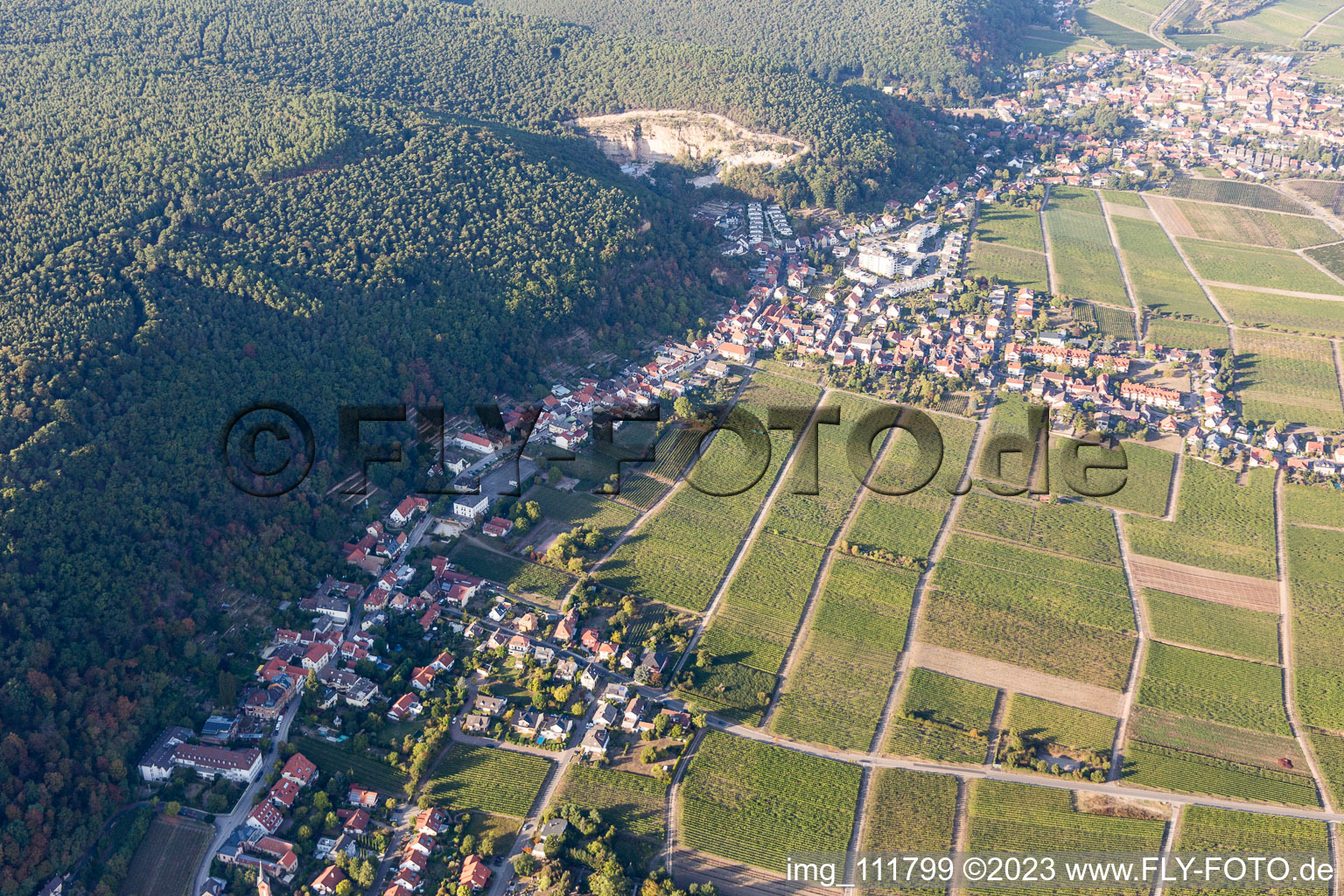 Vue aérienne de Bague en amande à le quartier Haardt in Neustadt an der Weinstraße dans le département Rhénanie-Palatinat, Allemagne