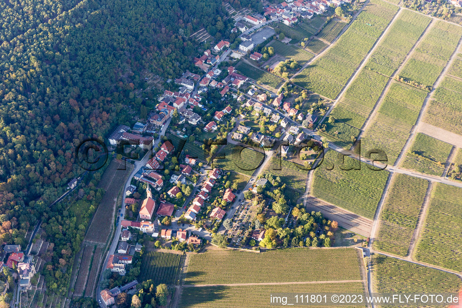 Vue aérienne de Quartier Haardt in Neustadt an der Weinstraße dans le département Rhénanie-Palatinat, Allemagne