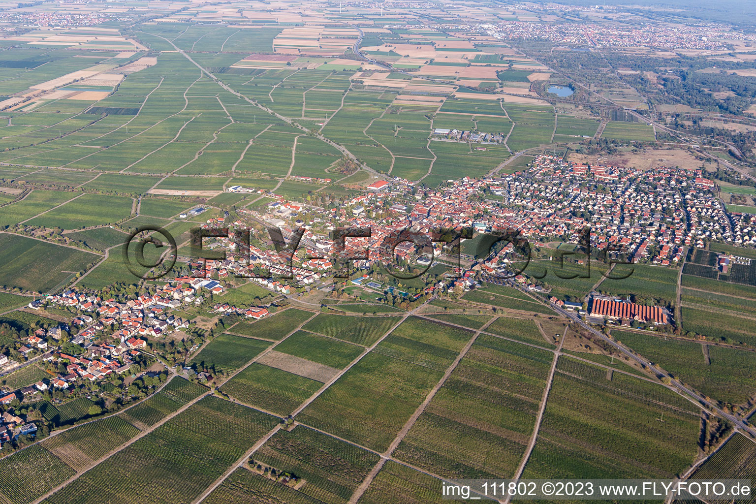 Vue aérienne de Mussbach à le quartier Mußbach in Neustadt an der Weinstraße dans le département Rhénanie-Palatinat, Allemagne