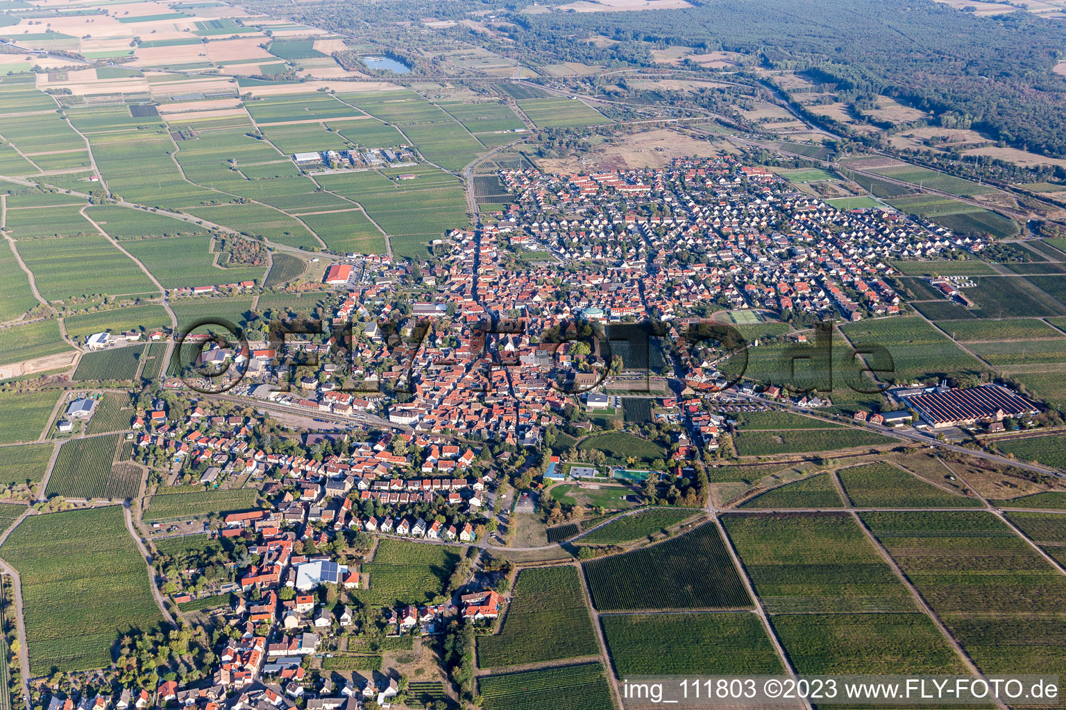 Vue aérienne de Mussbach à le quartier Mußbach in Neustadt an der Weinstraße dans le département Rhénanie-Palatinat, Allemagne