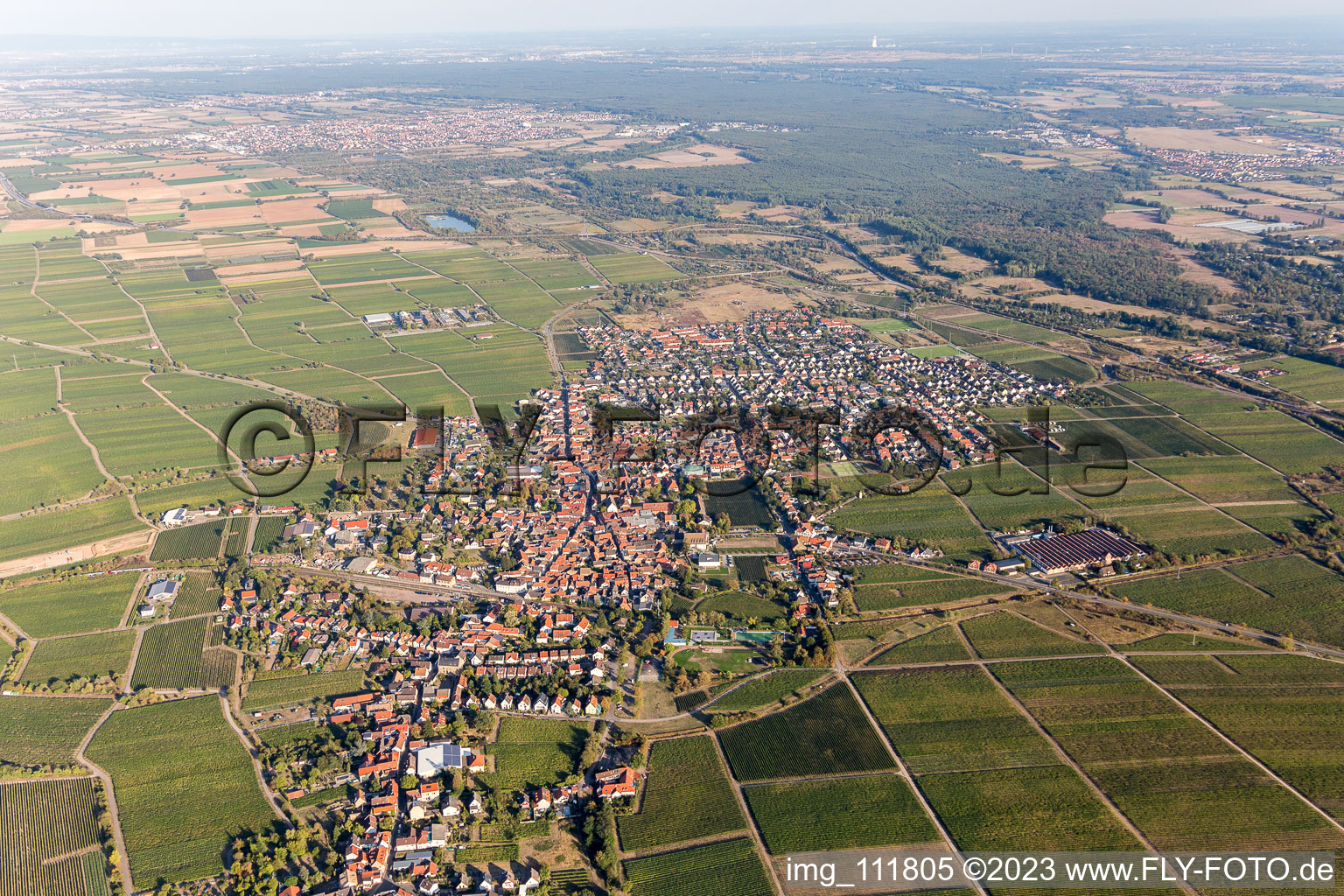 Photographie aérienne de Mussbach à le quartier Mußbach in Neustadt an der Weinstraße dans le département Rhénanie-Palatinat, Allemagne