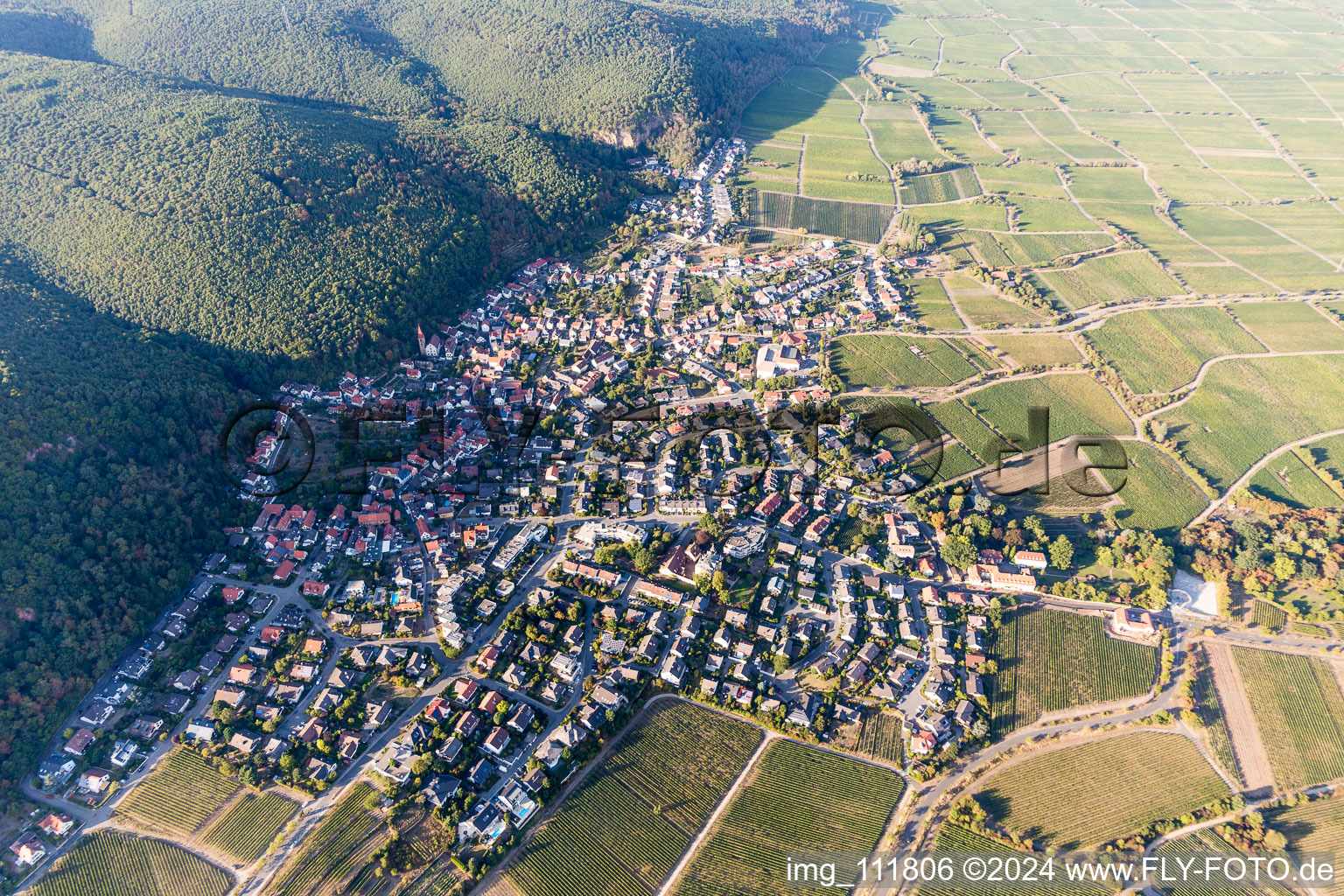 Vue aérienne de Vignobles sur le Haardtrand de la forêt du Palatinat à le quartier Königsbach in Neustadt an der Weinstraße dans le département Rhénanie-Palatinat, Allemagne