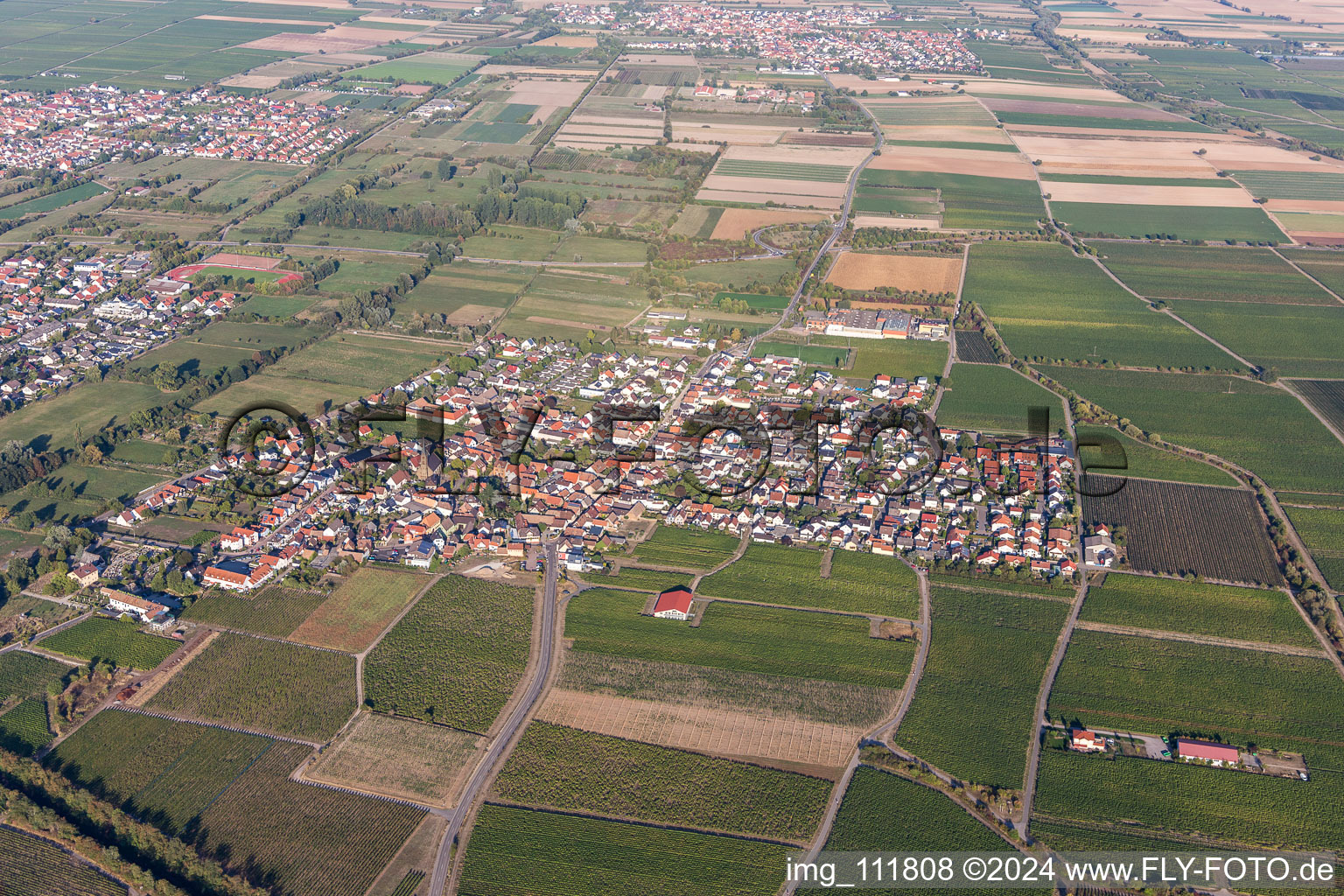 Enregistrement par drone de Ruppertsberg dans le département Rhénanie-Palatinat, Allemagne