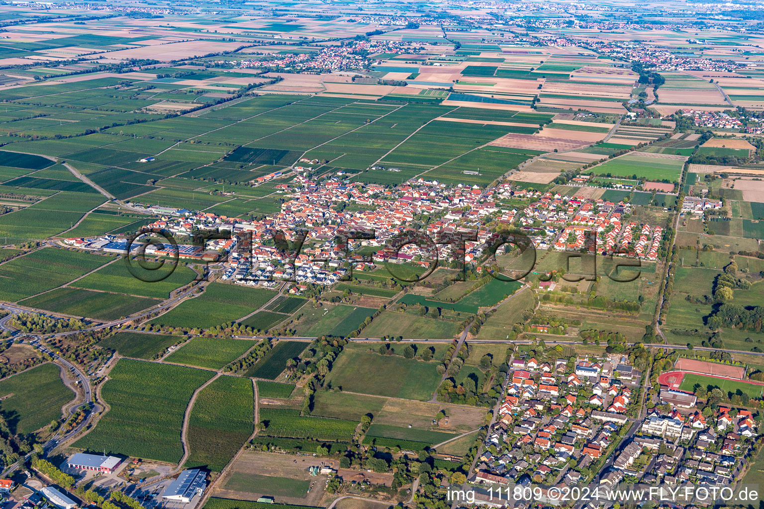 Vue aérienne de Quartier Niederkirchen in Niederkirchen bei Deidesheim dans le département Rhénanie-Palatinat, Allemagne