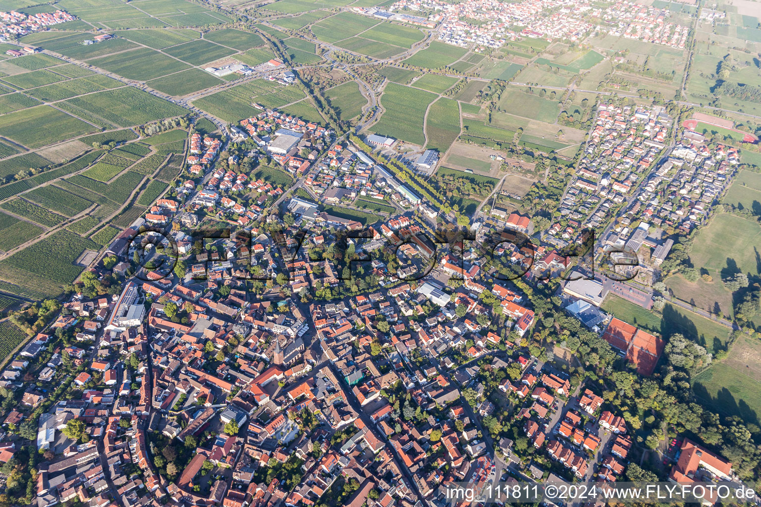 Deidesheim dans le département Rhénanie-Palatinat, Allemagne depuis l'avion