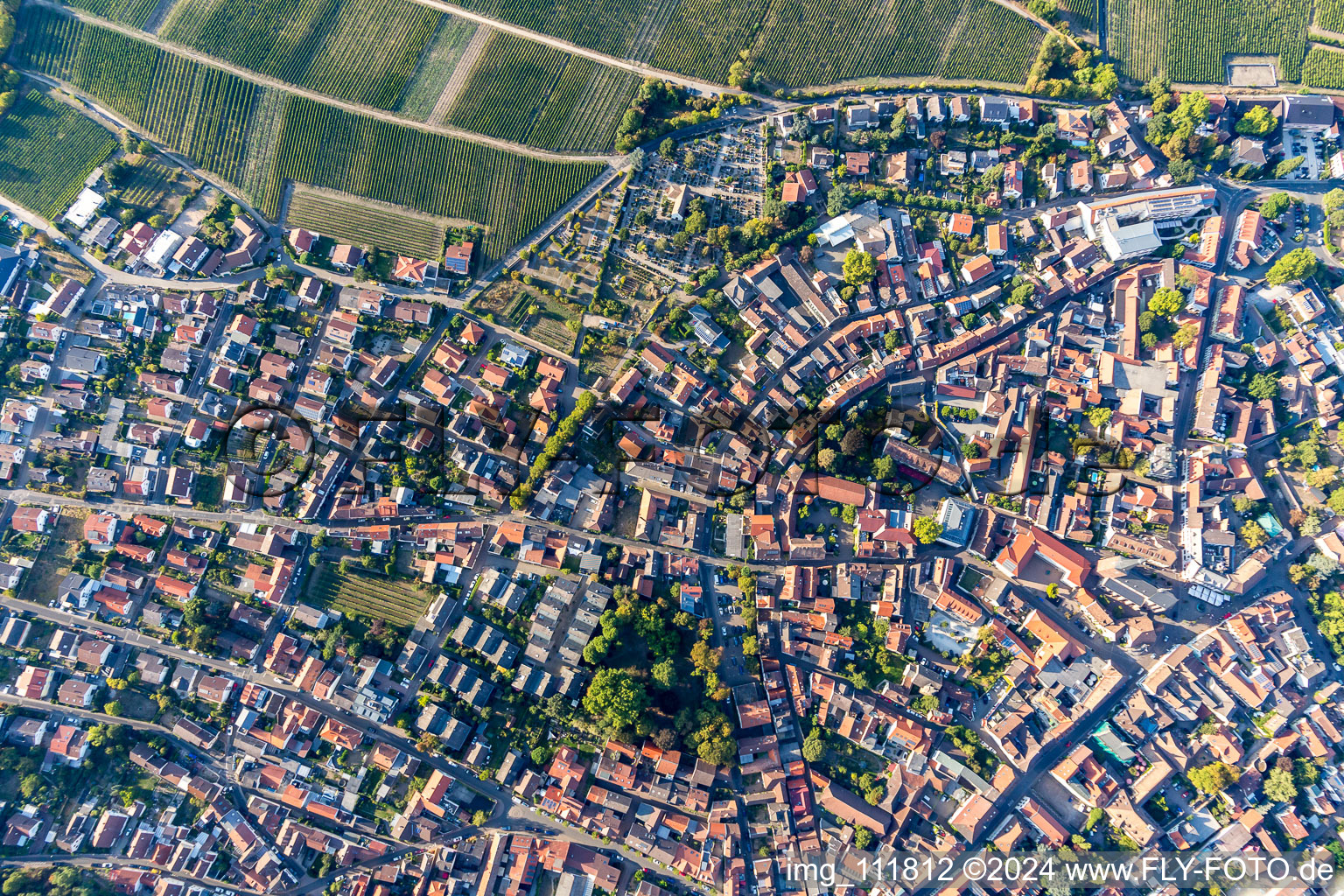 Vue d'oiseau de Deidesheim dans le département Rhénanie-Palatinat, Allemagne