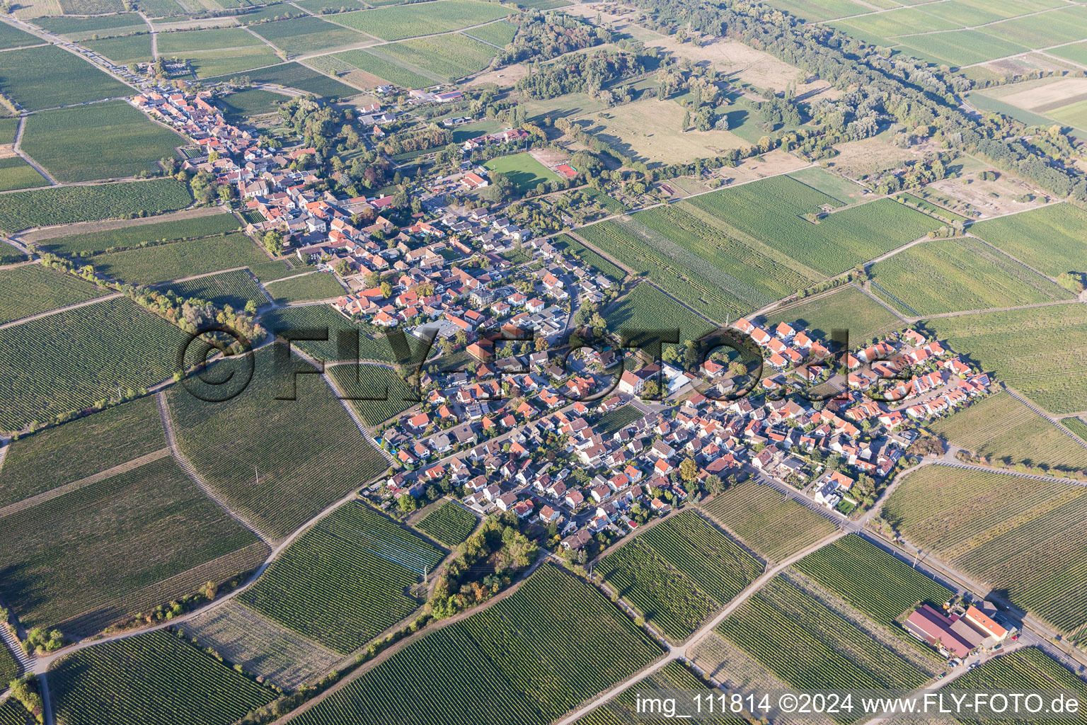 Vue aérienne de Domaines viticoles et surfaces utilisables à le quartier Forst in Forst an der Weinstraße dans le département Rhénanie-Palatinat, Allemagne