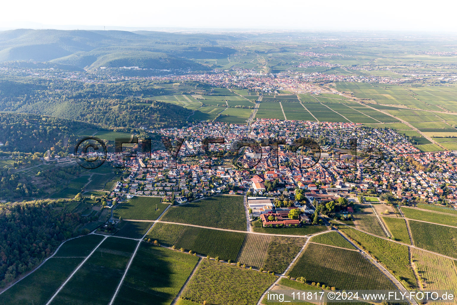 Photographie aérienne de Wachenheim an der Weinstraße dans le département Rhénanie-Palatinat, Allemagne