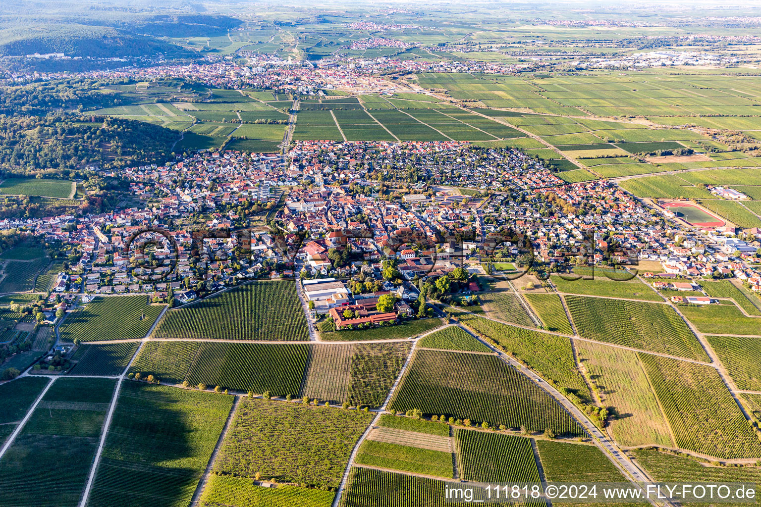 Vue aérienne de Vue sur la ville en bordure des vignes à le quartier Wachenheim in Wachenheim an der Weinstraße dans le département Rhénanie-Palatinat, Allemagne