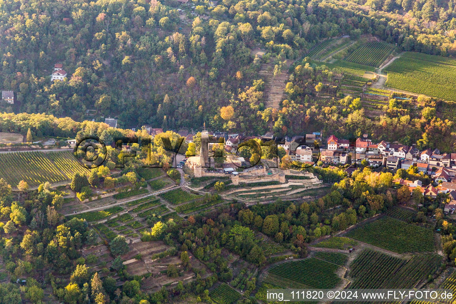 Vue aérienne de Quartier Wachenheim in Wachenheim an der Weinstraße dans le département Rhénanie-Palatinat, Allemagne