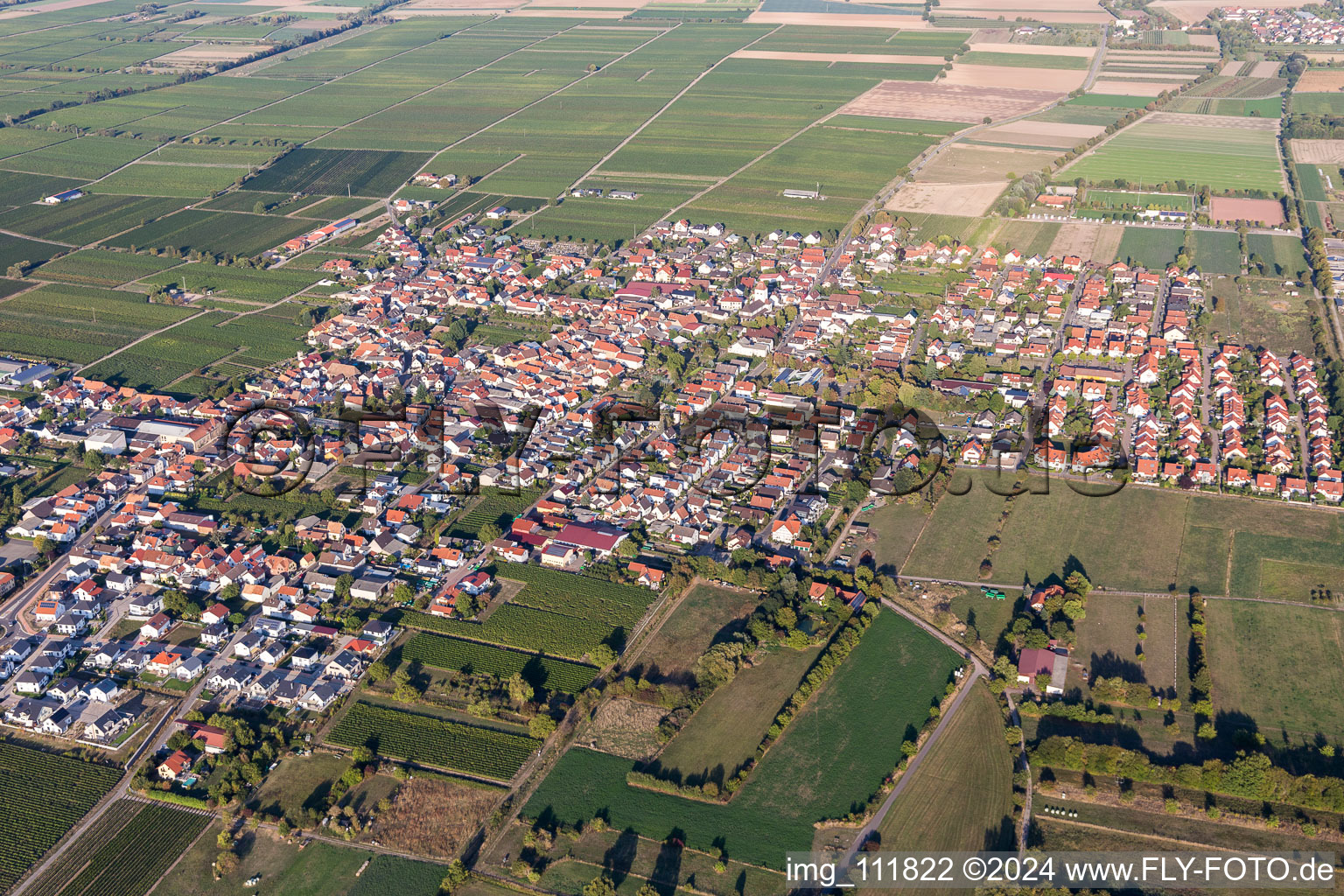 Image drone de Ruppertsberg dans le département Rhénanie-Palatinat, Allemagne