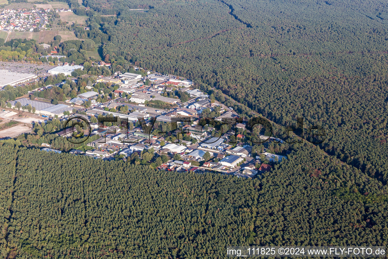 Vue aérienne de Zone industrielle sud à Haßloch dans le département Rhénanie-Palatinat, Allemagne