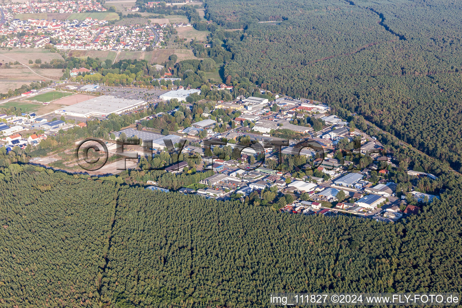 Vue aérienne de Zone industrielle sud à Haßloch dans le département Rhénanie-Palatinat, Allemagne