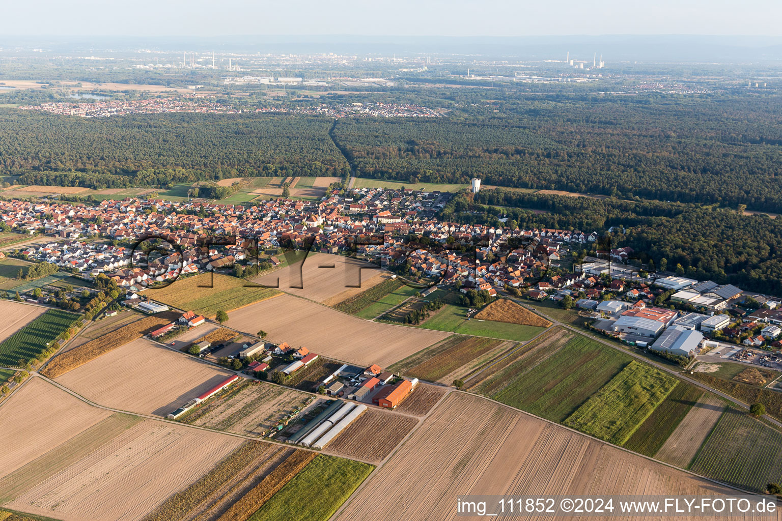 Hatzenbühl dans le département Rhénanie-Palatinat, Allemagne d'un drone