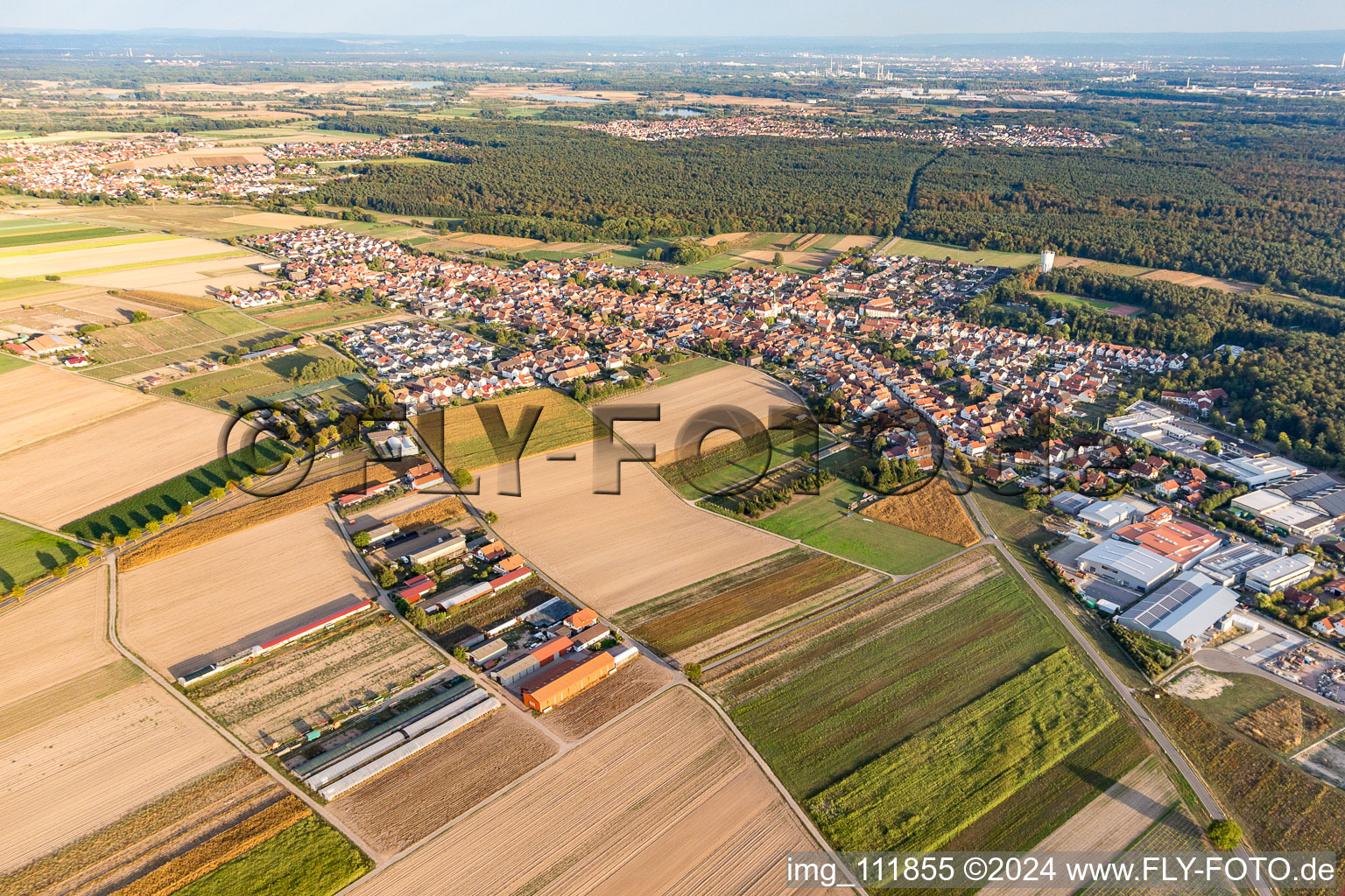 Vue aérienne de Hatzenbühl dans le département Rhénanie-Palatinat, Allemagne