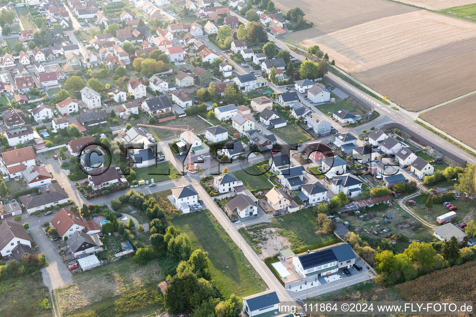 Minfeld dans le département Rhénanie-Palatinat, Allemagne du point de vue du drone